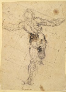 Studio di un Nudo Maschile di Schiena